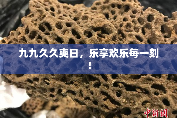 九九久久爽日，乐享欢乐每一刻！