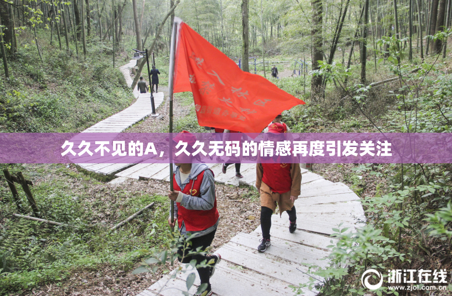 久久不见的A，久久无码的情感再度引发关注