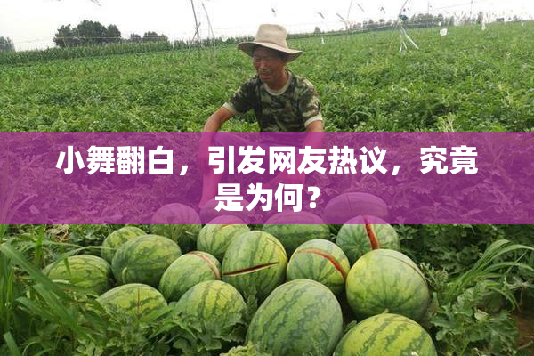 小舞翻白，引发网友热议，究竟是为何？