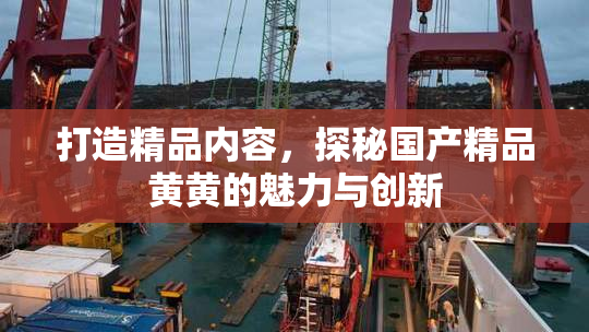 打造精品内容，探秘国产精品黄黄的魅力与创新