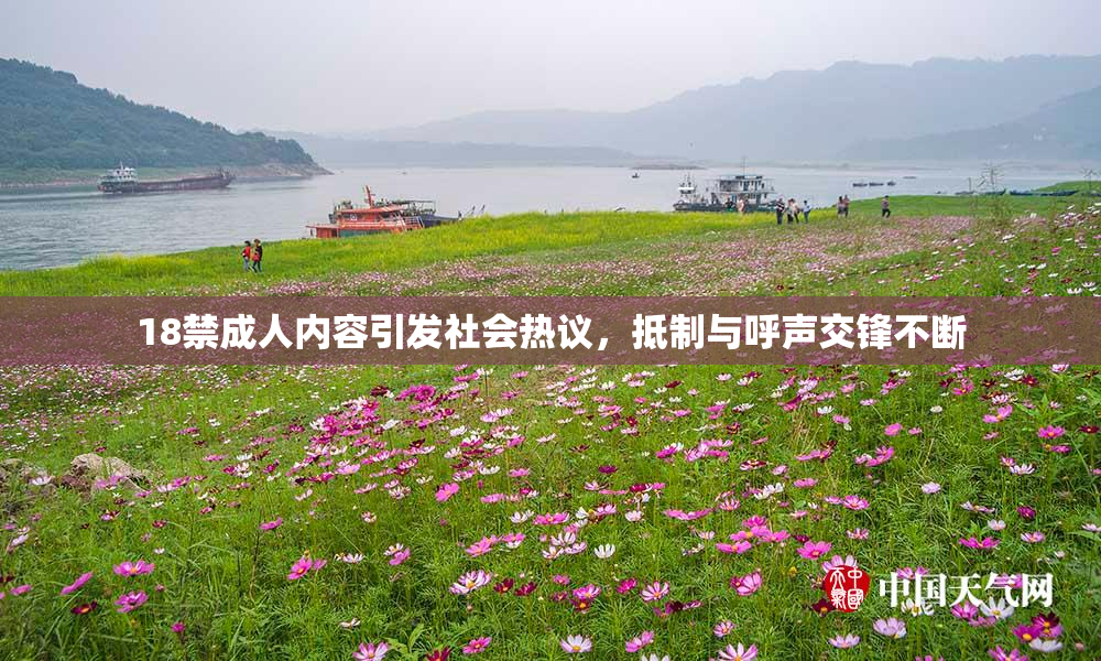18禁成人内容引发社会热议，抵制与呼声交锋不断