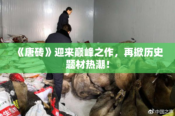 《唐砖》迎来巅峰之作，再掀历史题材热潮！
