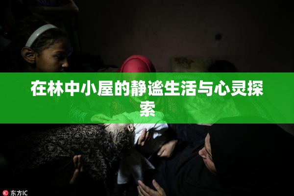 在林中小屋的静谧生活与心灵探索