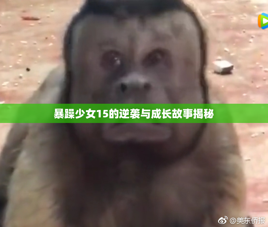 暴躁少女15的逆袭与成长故事揭秘
