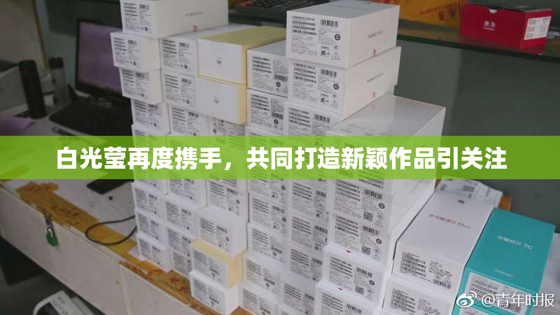 白光莹再度携手，共同打造新颖作品引关注