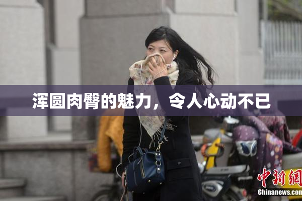 浑圆肉臀的魅力，令人心动不已
