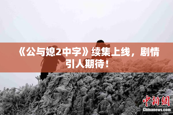 《公与媳2中字》续集上线，剧情引人期待！