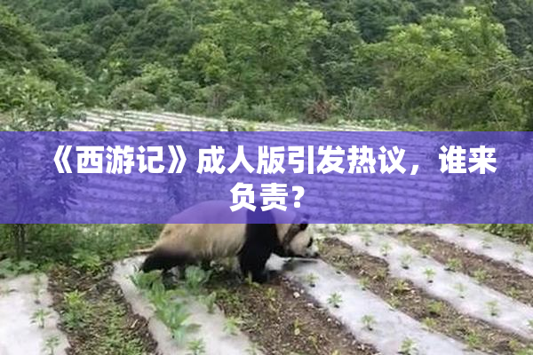 《西游记》成人版引发热议，谁来负责？
