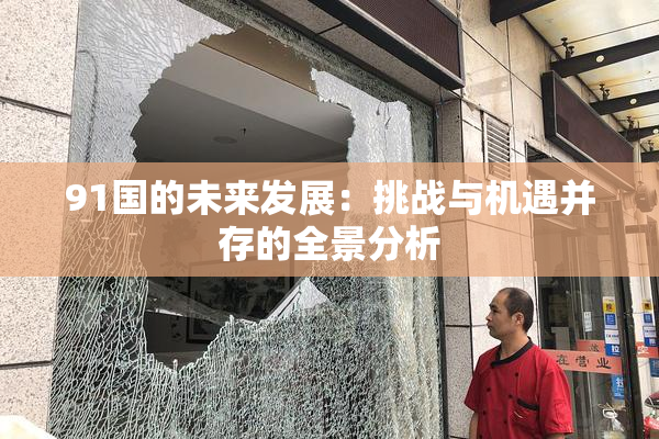91国的未来发展：挑战与机遇并存的全景分析