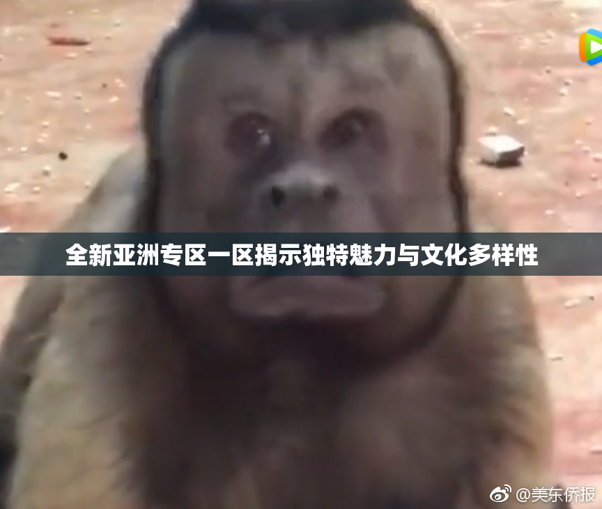 全新亚洲专区一区揭示独特魅力与文化多样性