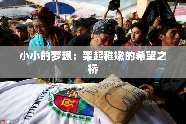 小小的梦想：架起稚嫩的希望之桥