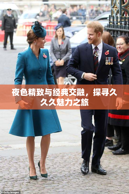 夜色精致与经典交融，探寻久久久魅力之旅