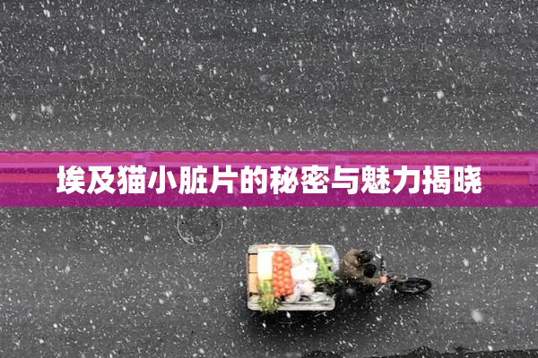 埃及猫小脏片的秘密与魅力揭晓