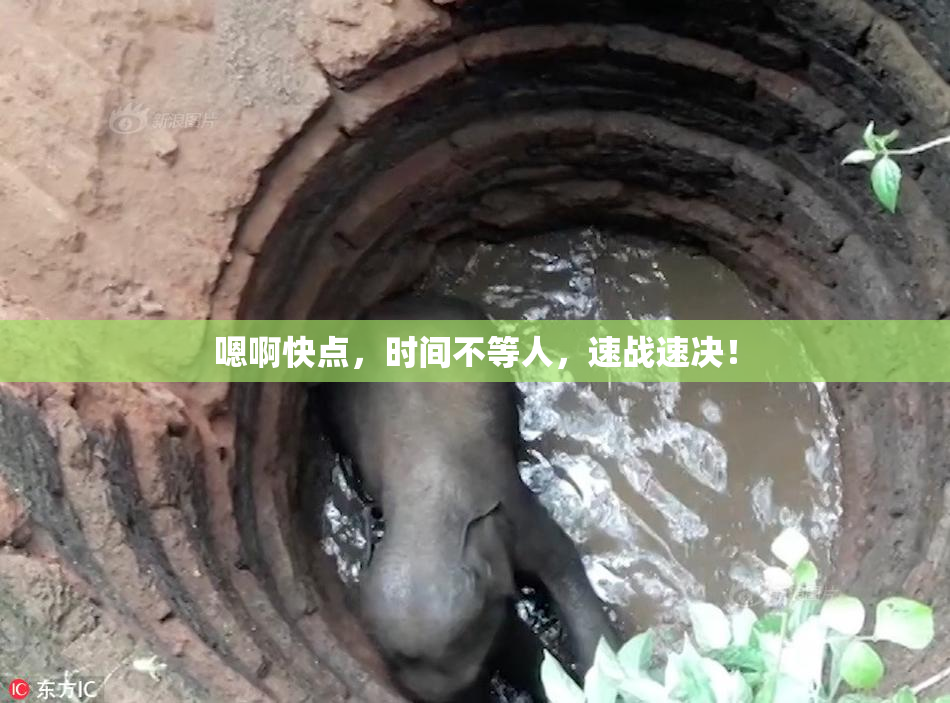 嗯啊快点，时间不等人，速战速决！