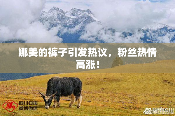 娜美的裤子引发热议，粉丝热情高涨！