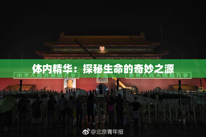 体内精华：探秘生命的奇妙之源