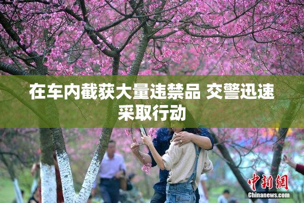 在车内截获大量违禁品 交警迅速采取行动