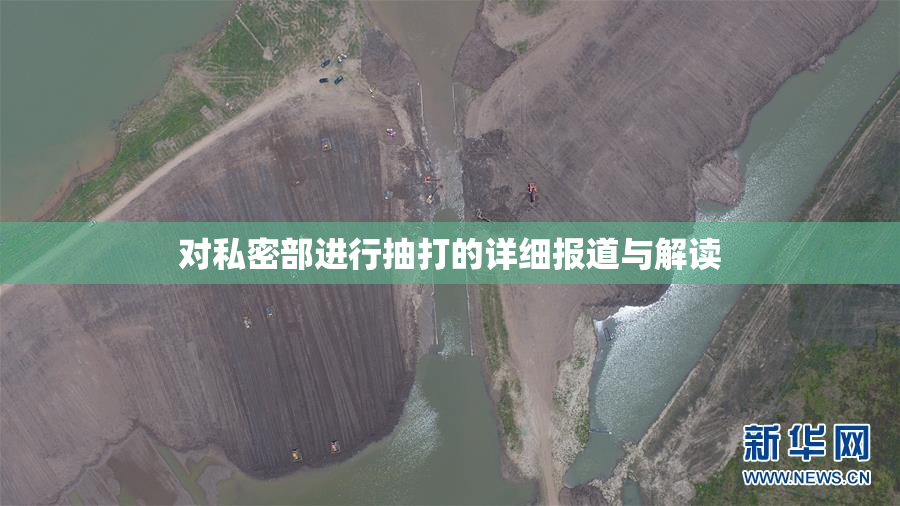 对私密部进行抽打的详细报道与解读