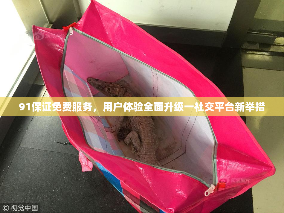 91保证免费服务，用户体验全面升级一社交平台新举措