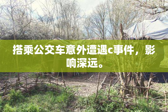 搭乘公交车意外遭遇c事件，影响深远。