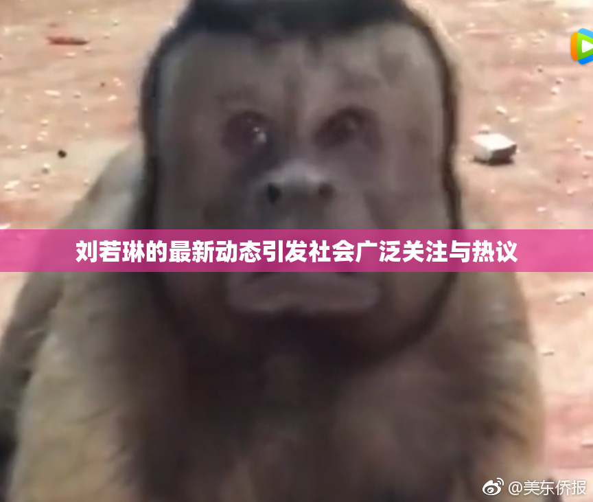刘若琳的最新动态引发社会广泛关注与热议