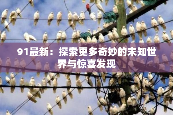 91最新：探索更多奇妙的未知世界与惊喜发现