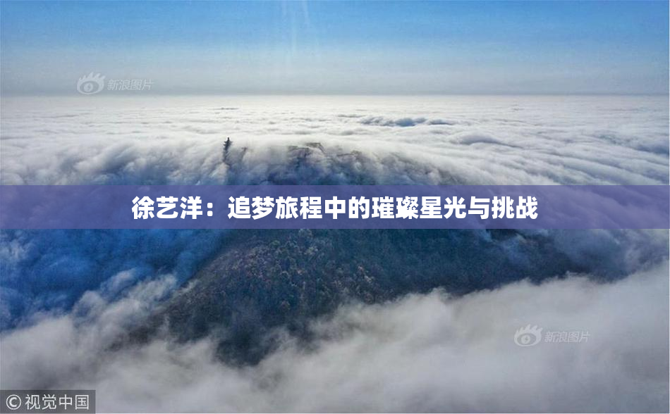 徐艺洋：追梦旅程中的璀璨星光与挑战