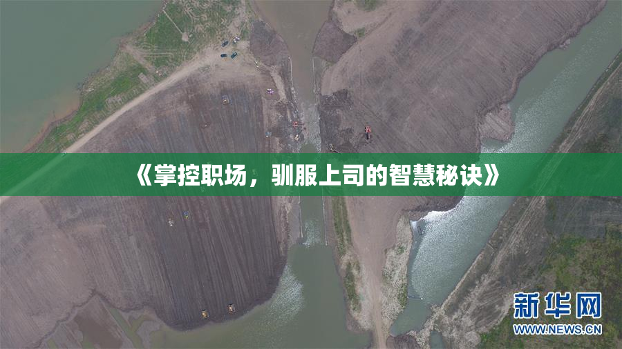 《掌控职场，驯服上司的智慧秘诀》