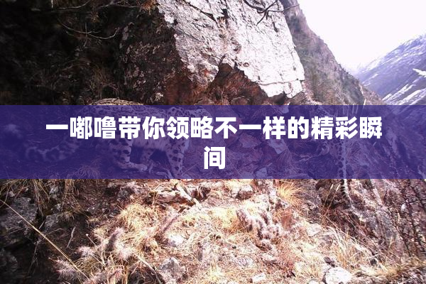 一嘟噜带你领略不一样的精彩瞬间