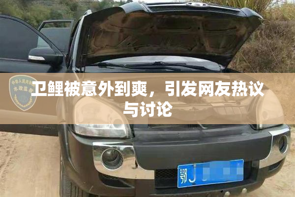 卫鲤被意外到爽，引发网友热议与讨论