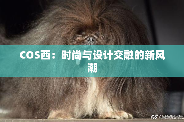COS西：时尚与设计交融的新风潮
