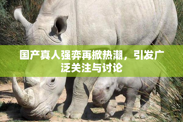 国产真人强弈再掀热潮，引发广泛关注与讨论