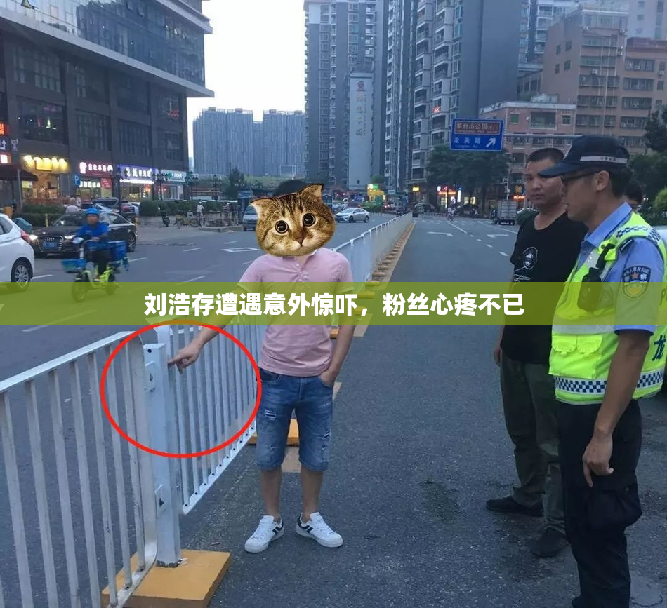 刘浩存遭遇意外惊吓，粉丝心疼不已
