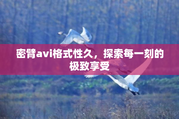 密臂avi格式性久，探索每一刻的极致享受