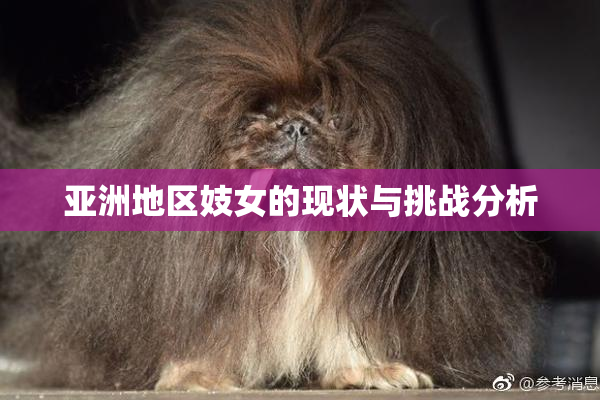 亚洲地区妓女的现状与挑战分析