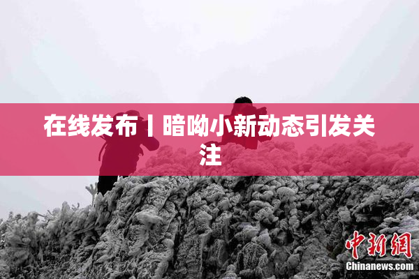 在线发布丨暗呦小新动态引发关注