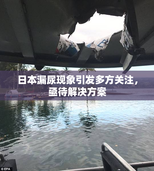 日本漏尿现象引发多方关注，亟待解决方案