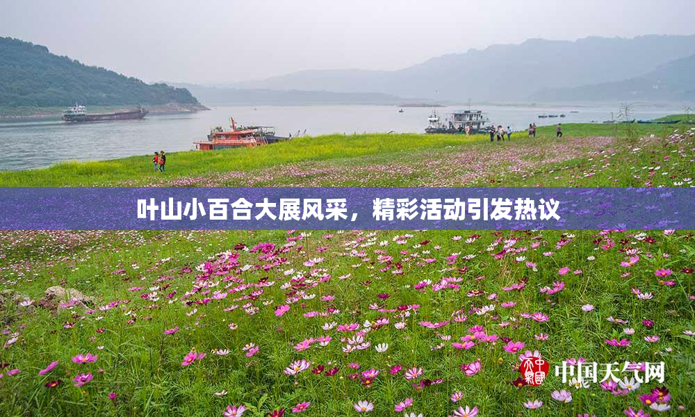 叶山小百合大展风采，精彩活动引发热议
