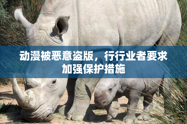 动漫被恶意盗版，行行业者要求加强保护措施