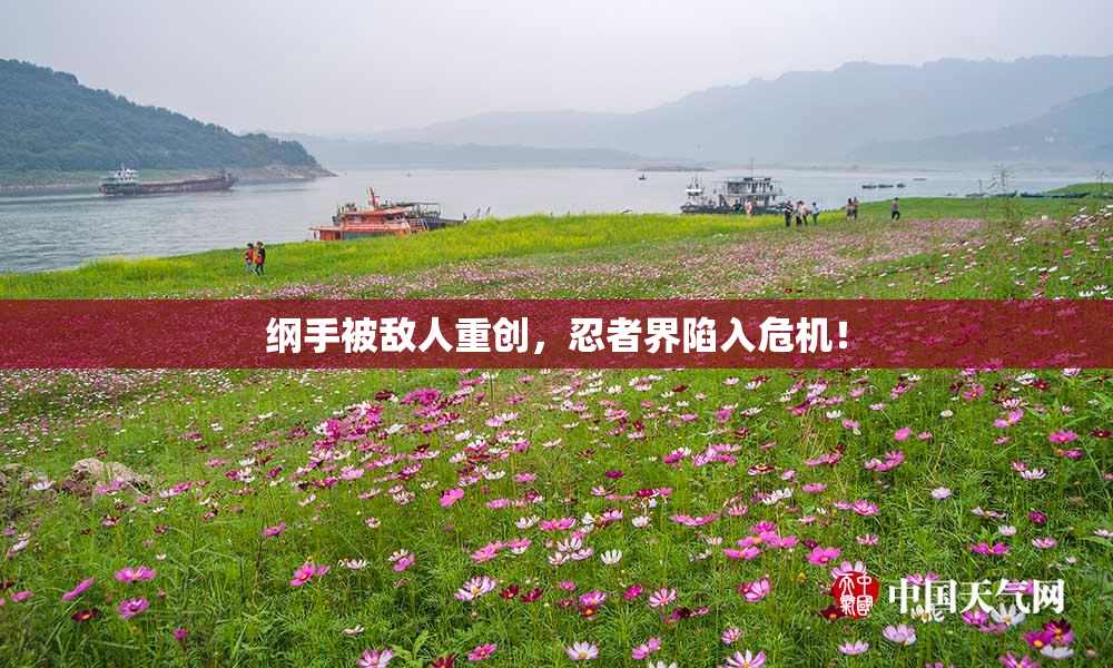 纲手被敌人重创，忍者界陷入危机！