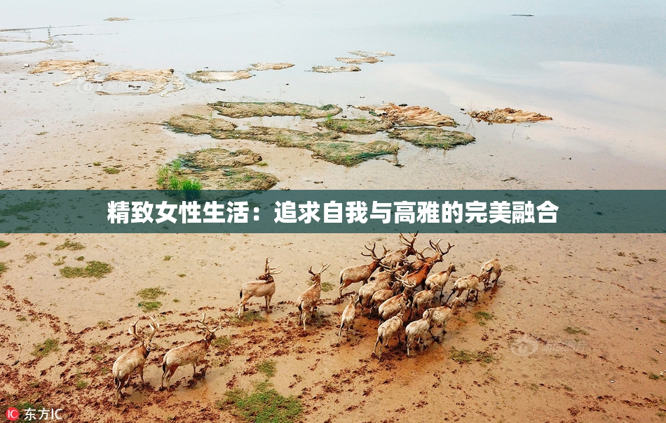 精致女性生活：追求自我与高雅的完美融合