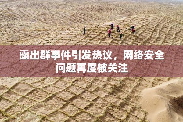 露出群事件引发热议，网络安全问题再度被关注