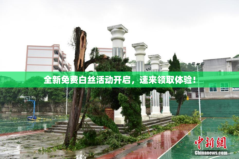 全新免费白丝活动开启，速来领取体验！