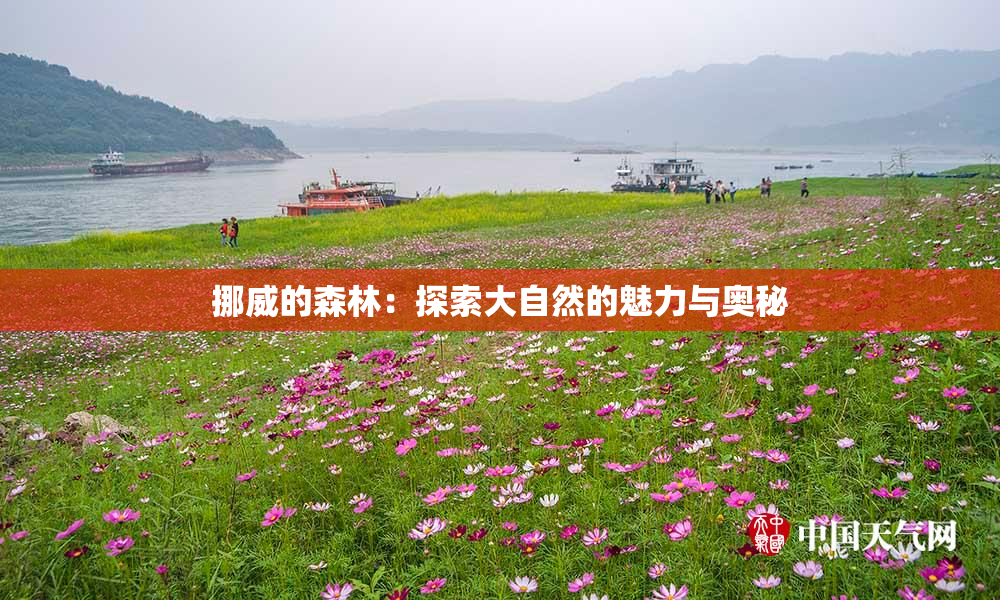 挪威的森林：探索大自然的魅力与奥秘