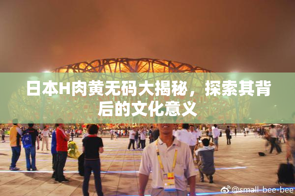 日本H肉黄无码大揭秘，探索其背后的文化意义