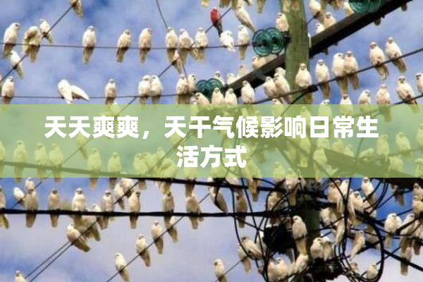 天天爽爽，天干气候影响日常生活方式