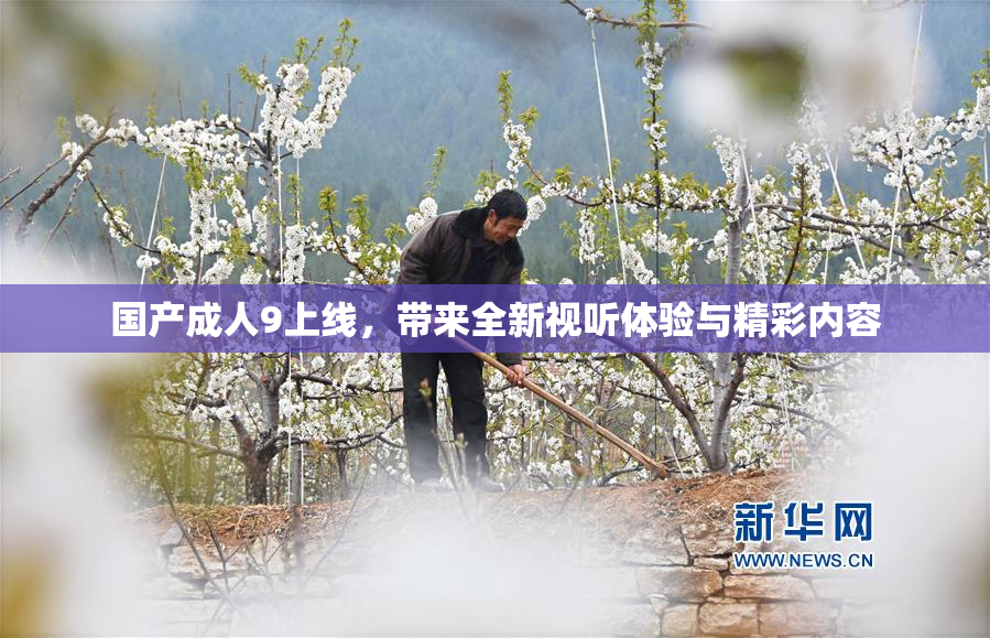 国产成人9上线，带来全新视听体验与精彩内容
