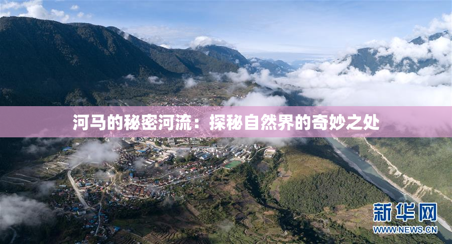 河马的秘密河流：探秘自然界的奇妙之处