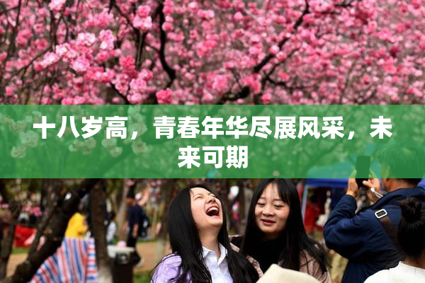 十八岁高，青春年华尽展风采，未来可期