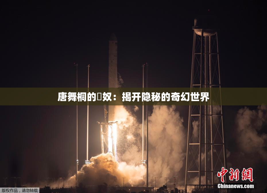 唐舞桐的婬奴：揭开隐秘的奇幻世界